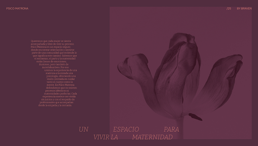 Project image 4