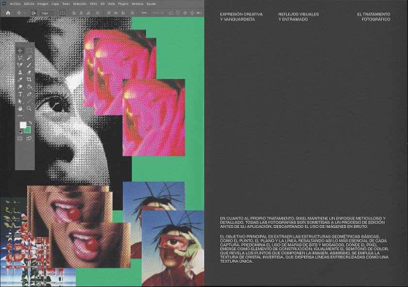 Project image 10