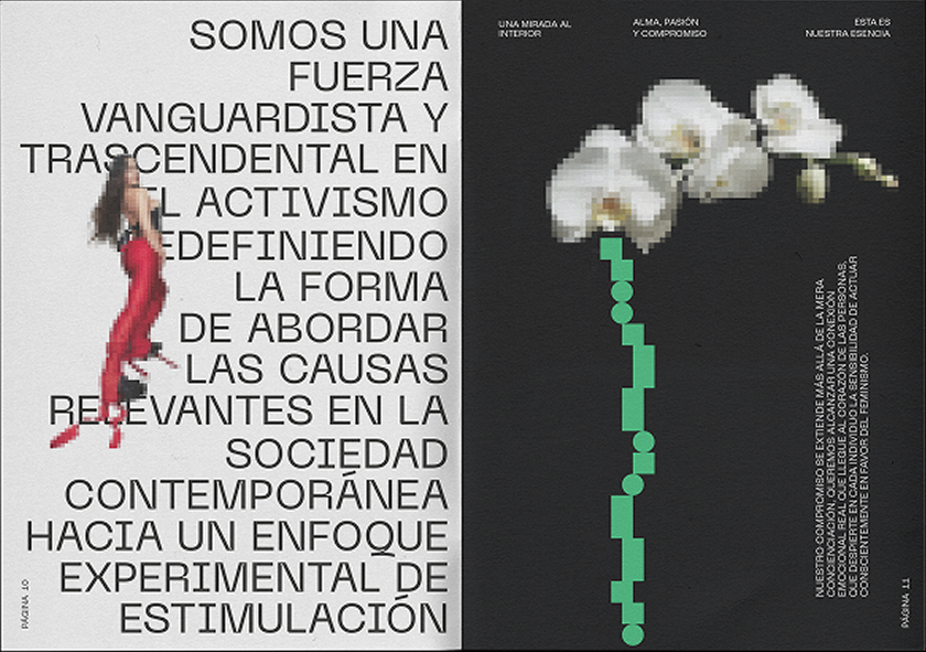 Project image 2