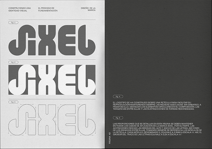 Project image 4